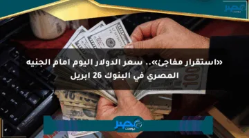 «استقرار مفاجئ».. سعر الدولار اليوم أمام الجنيه المصري في البنوك 26 أبريل
